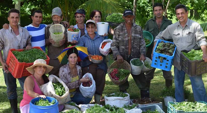 Resalta Díaz-Canel importancia de la agroecología para Cuba Resalta Díaz-Canel importancia de la agroecología para Cuba