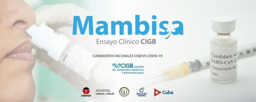 Mambisa, uno de los cinco candidatos vacunales anti-Covid-19 por vía nasal en el mundo Mambisa, uno de los cinco candidatos vacunales anti-Covid-19 por vía nasal en el mundo