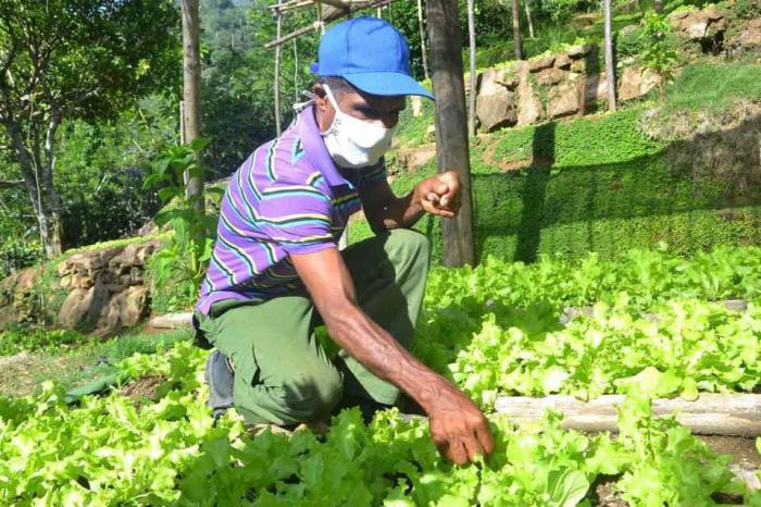 Con las nuevas medidas, el crecimiento de la producción agropecuaria no admite demoras Con las nuevas medidas, el crecimiento de la producción agropecuaria no admite demoras