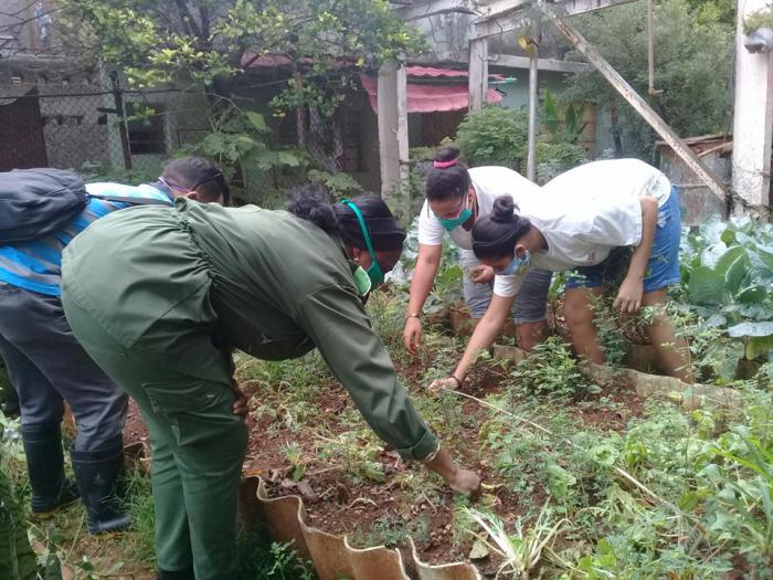 Todo lo que estimule la producción es favorable Todo lo que estimule la producción es favorable