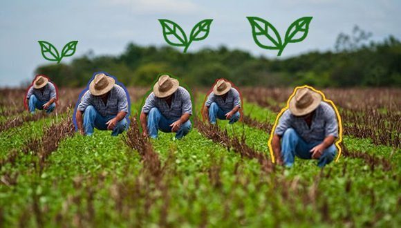 Quitar trabas para crecer: Comercialización agrícola en Cuba con nuevas medidas a partir de junio Quitar trabas para crecer: Comercialización agrícola en Cuba con nuevas medidas a partir de junio