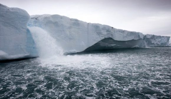 Estudios pronostican que el 10 por ciento de los glaciales del planeta desaparecerán para mitad de siglo Estudios pronostican que el 10 por ciento de los glaciales del planeta desaparecerán para mitad de siglo