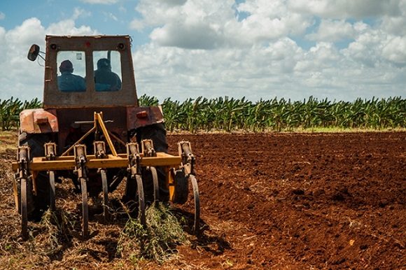 Valdés Mesa evalúa en Pinar del Río programas de producción de alimentos Valdés Mesa evalúa en Pinar del Río programas de producción de alimentos