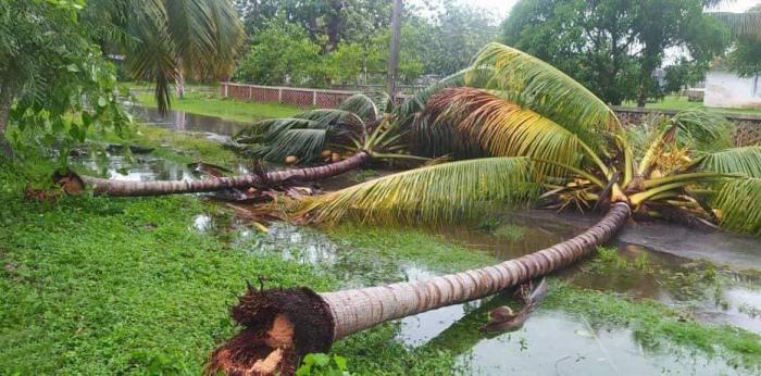 Ida golpea con fuerza al occidente cubano Ida golpea con fuerza al occidente cubano