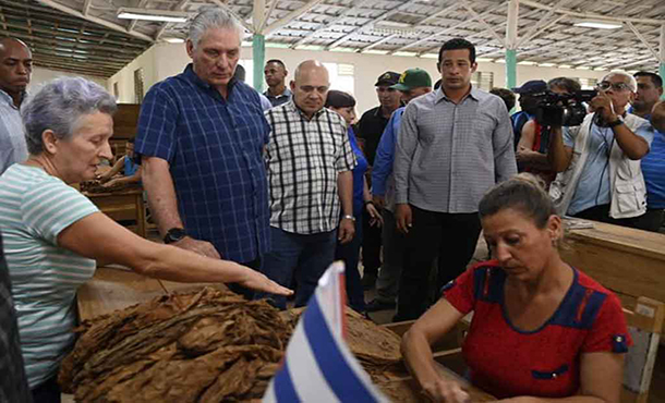 Presidente cubano visita sitios de interés económico en Pinar del Río Presidente cubano visita sitios de interés económico en Pinar del Río
