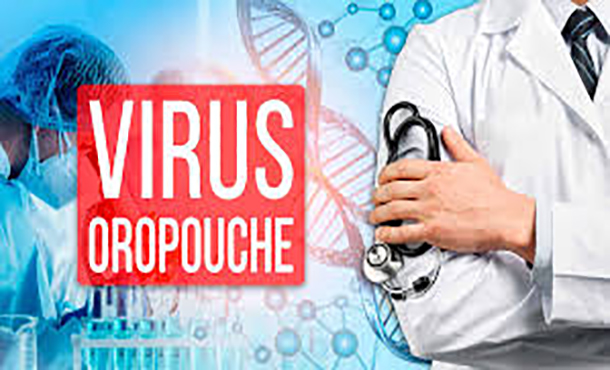 Establece el MINSAP servicio Web dedicado al Oropouche Establece el MINSAP servicio Web dedicado al Oropouche