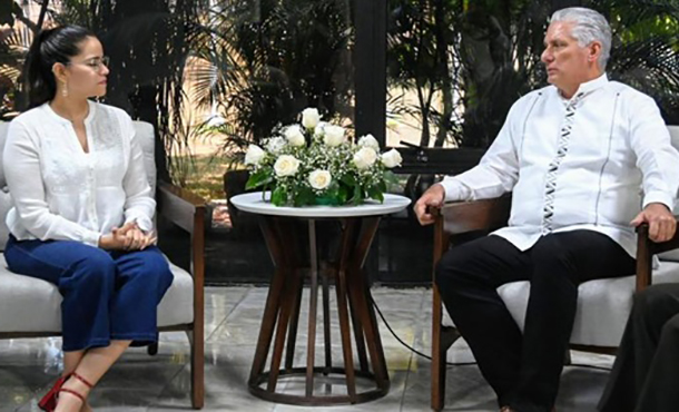 Díaz-Canel y líder de Morena fortalecen cooperación bilateral Díaz-Canel y líder de Morena fortalecen cooperación bilateral