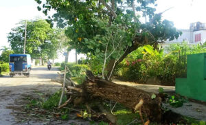 Tormenta afecta subestación eléctrica en Santa Clara Industrial Tormenta afecta subestación eléctrica en Santa Clara Industrial