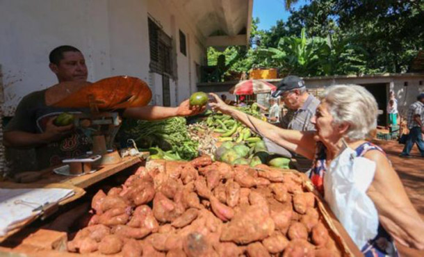 Establecen en La Habana nuevos precios máximos para la comercialización de productos agropecuarios Establecen en La Habana nuevos precios máximos para la comercialización de productos agropecuarios