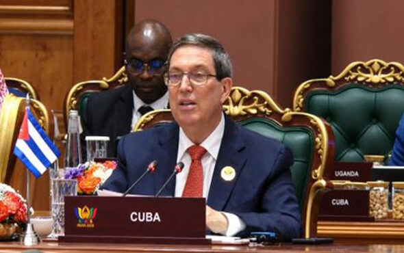 bruno-en-los-brics
