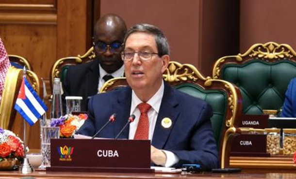 bruno-en-los-brics