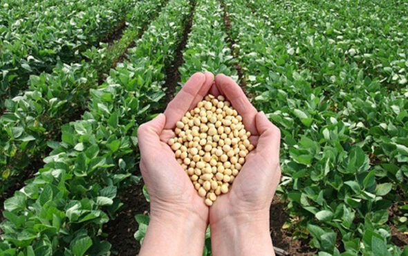 soya-ciencia-agricultura